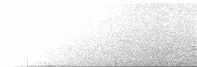 strakapoud proužkohřbetý - ML171599601
