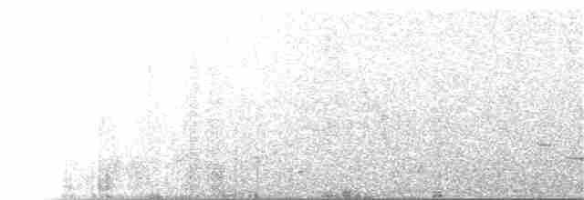 prærielerketrupial - ML171602631