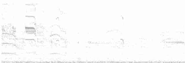 Roseate Tern - ML171678401