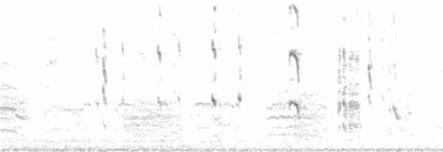 紅燕鷗 - ML171678751