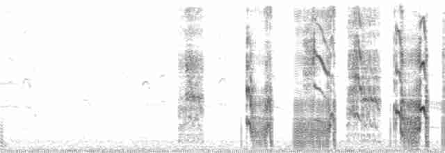 紅燕鷗 - ML171679591
