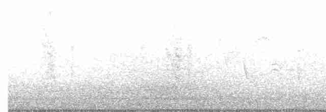 European Starling - ML171685061