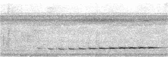 Turuncu Karınlı Yerçavuşu - ML171686801