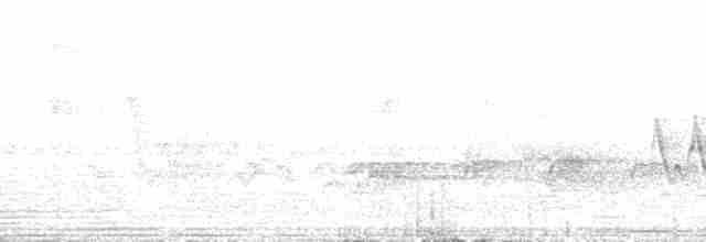 gulbuktykknebb (aureoventris) - ML171703