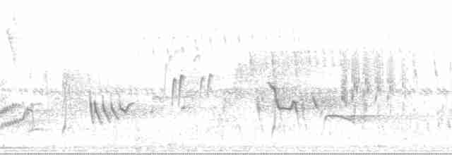 Turuncu Başlı Tangara - ML171706
