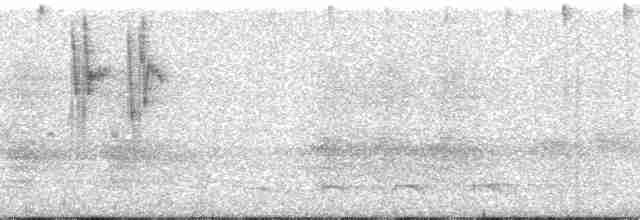 Черноухий колибри (inornata) - ML17171