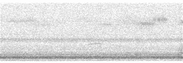 Дрізд-короткодзьоб Cвенсона - ML171722081