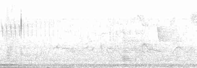 gulbuktykknebb (aureoventris) - ML171723
