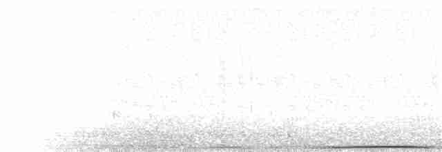 holub pruhoocasý - ML171733411