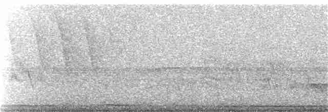 holub bledočelý - ML171748861