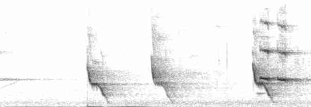 Plush-crested Jay - ML171751