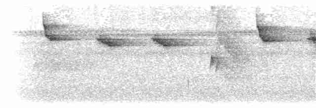 Чешуйчатогрудый саблекрыл - ML171753521