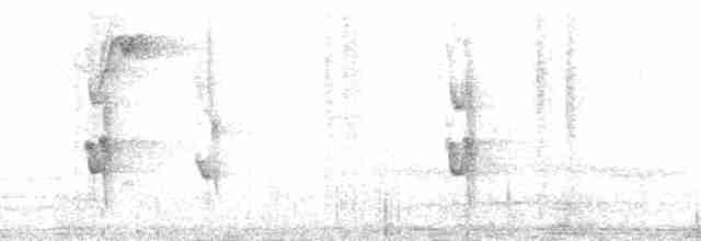 Graustirn-Dickichtschlüpfer - ML171760