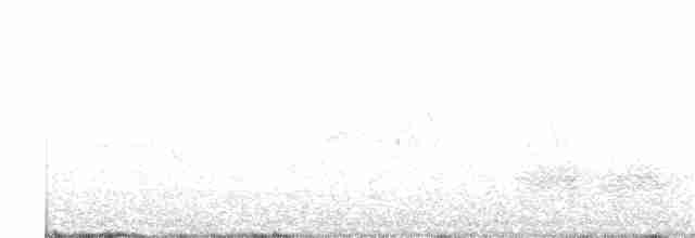 Kiefernhäher - ML171763801