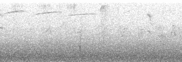 Дзьоган смугасточеревий - ML171862