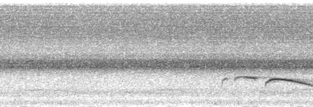 Бурошапочная тимелия-говорушка - ML171981