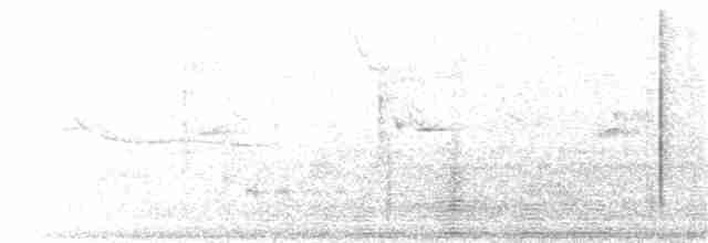 Braunaugenvireo (pusillus) - ML172021381