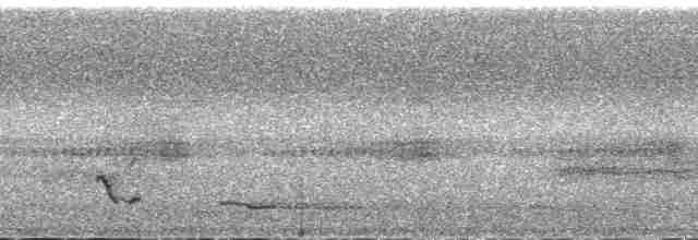 Seylan Bal Sığırcığı - ML172034