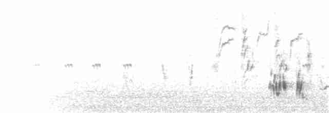 Kalifornienspottdrossel - ML172049041