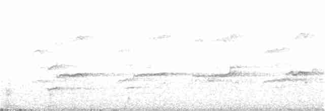 Белоголовый орлан - ML172062771