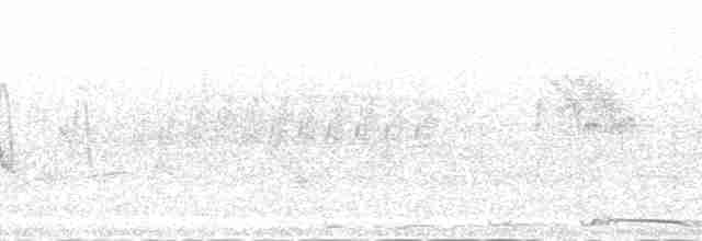 Değişken Atmaca Kartalı (cirrhatus/ceylanensis) - ML172083