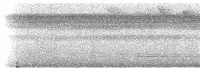 Белобровый колибри-отшельник - ML172123801