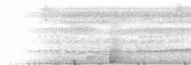 Синелобая якамара - ML172124661