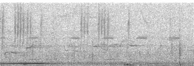 Белохвостая эльвира - ML172160381