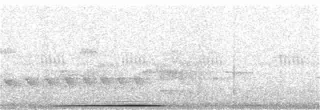 Chiriqui Quail-Dove - ML172161421