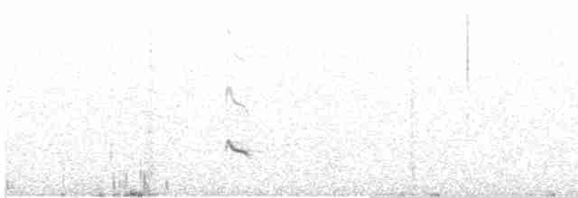 Solitary Sandpiper - ML172163331