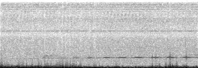 Bıyıklı Atmaca Guguğu - ML172181361