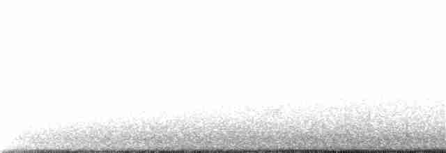 Tétras fuligineux - ML172259061