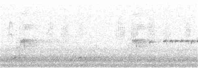 Медолюб-шилодзьоб східний - ML172262381