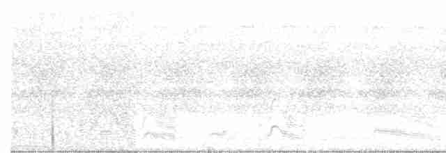 Белокрылая кустарница - ML172286161