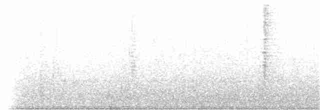Géospize fuligineux - ML172336661