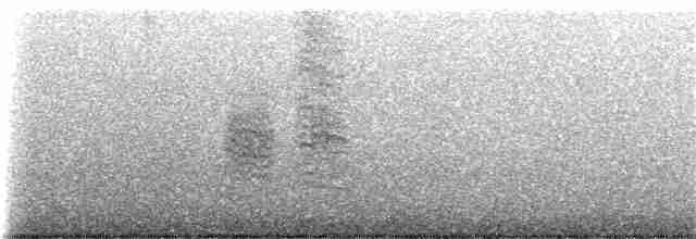 Gray Warbler-Finch - ML172342001