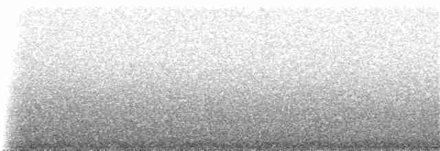 Мангровая древесница (aureola) - ML172346051