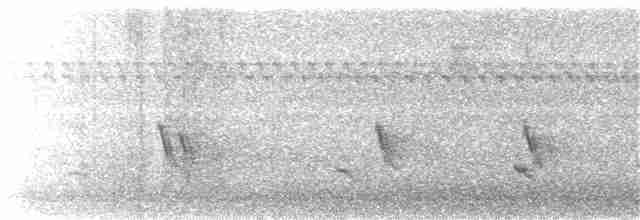 Щурик пурпуровий (підвид subis/arboricola) - ML172409581