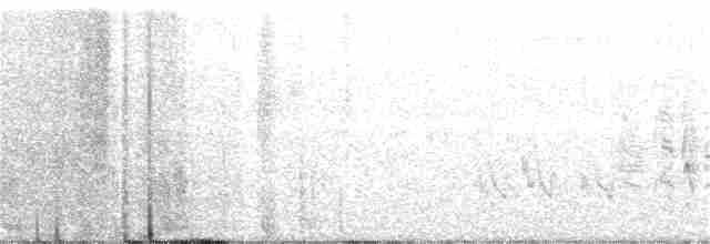 Vireo de Bell (arizonae) - ML172421561