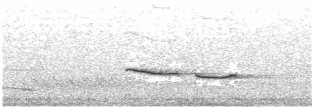 Russet-tailed Thrush - ML172454581