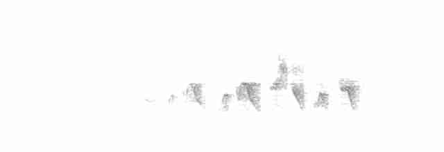 Белокрылая канделита - ML172455061