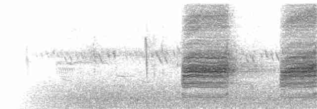 Loggerhead Shrike - ML172470751