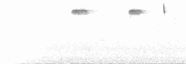 火冠戴菊鳥 - ML172473001