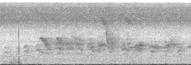 Seylan Bal Sığırcığı - ML172493