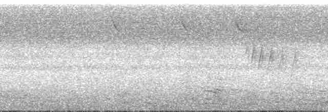 Seylan Bal Sığırcığı - ML172495