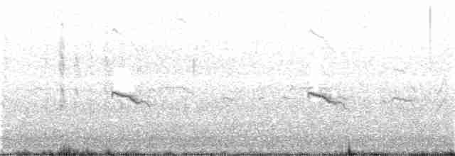 Pluvier siffleur - ML172514701