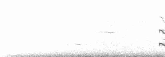 Black-crowned Night Heron - ML172524381