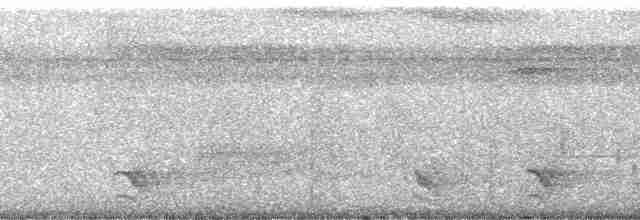 brunvingemaurvarsler - ML172560