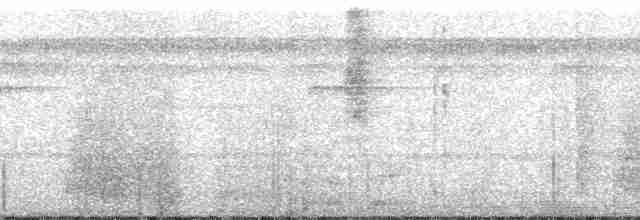 Şerit Kanatlı Çıtkuşu - ML172566