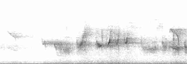 svarthakehonningeter - ML172575241